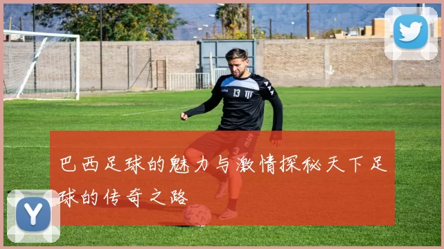 巴西足球的魅力与激情探秘天下足球的传奇之路